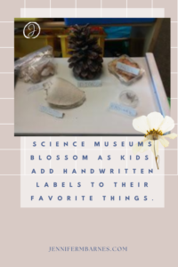 Photograph of a child-made Science Museum featuring pinecones, shells, rocks. Child-written labels accentuate each artifact