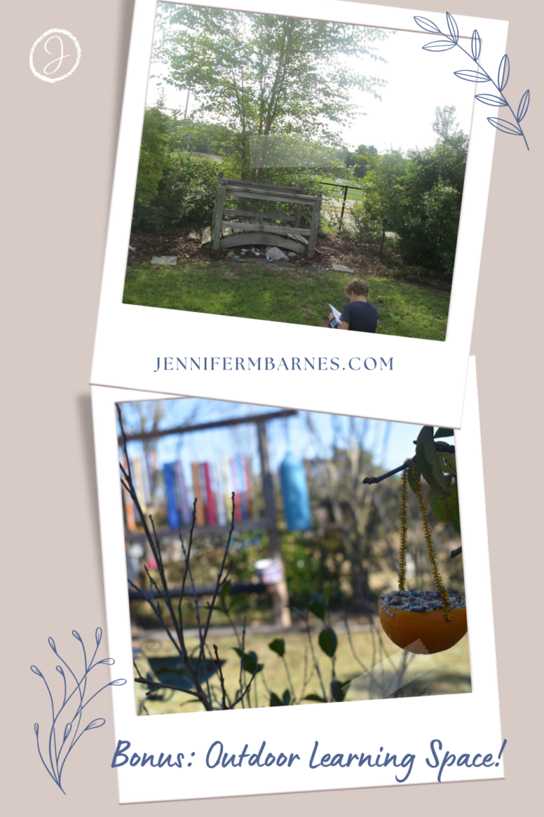 An image of our outdoor environments, featuring our school garden.