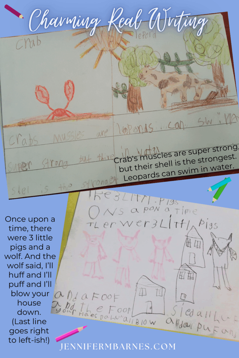 Image of several children's handwritten stories with their spelling. A nonfiction piece contrasting crabs and leopards. And a fairy tale rewriting.