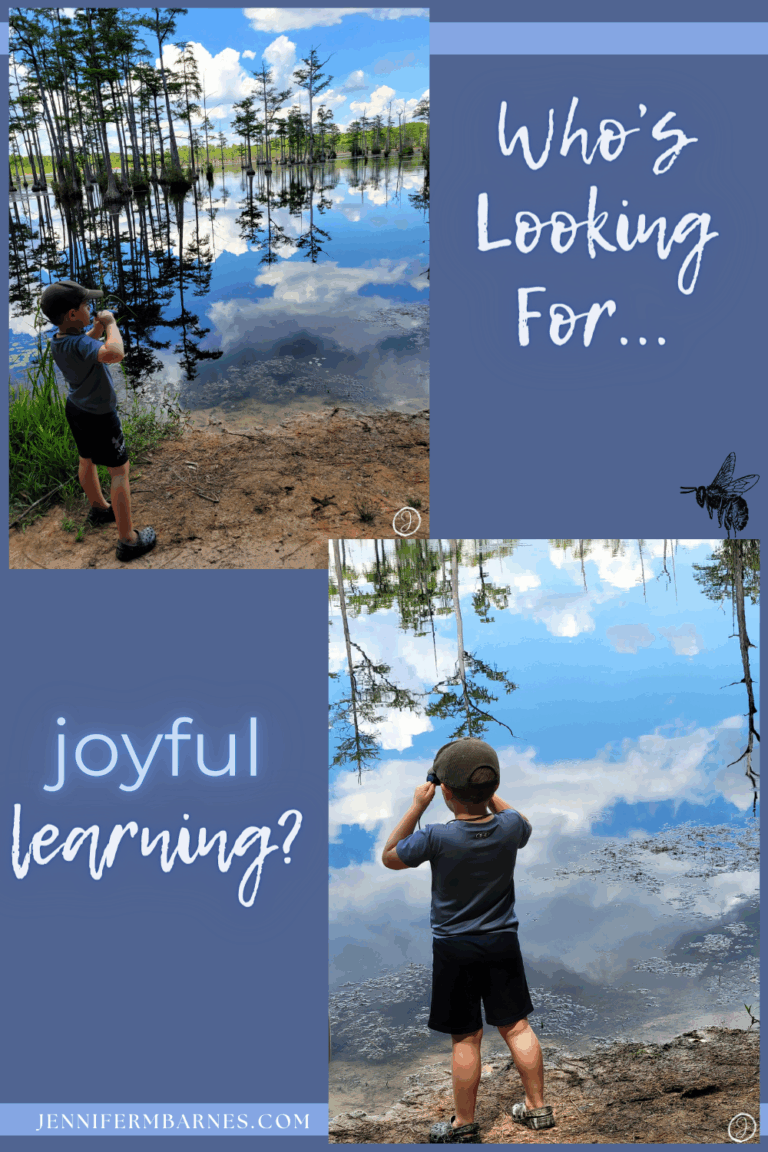 Several images of a child looking over the pond at a state park. Text says, "Who's Looking for joyful learning?"