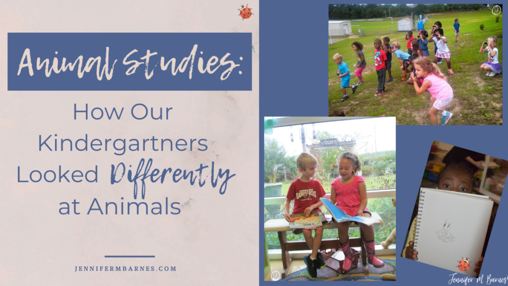 Featured image with blog post title: Animal Studies: How Our Kindergartners Looked Differently at Animals accompanied with images of children birdwatching, holding a sketch of a ladybug, and talking about books