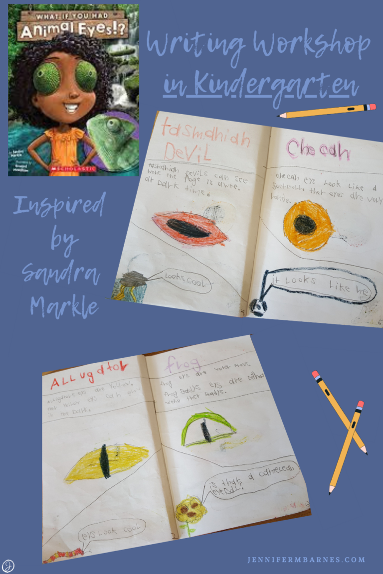 Image of a book cover from Sandra Markle alongside several pages children were inspired to write and draw after learning from Sandra