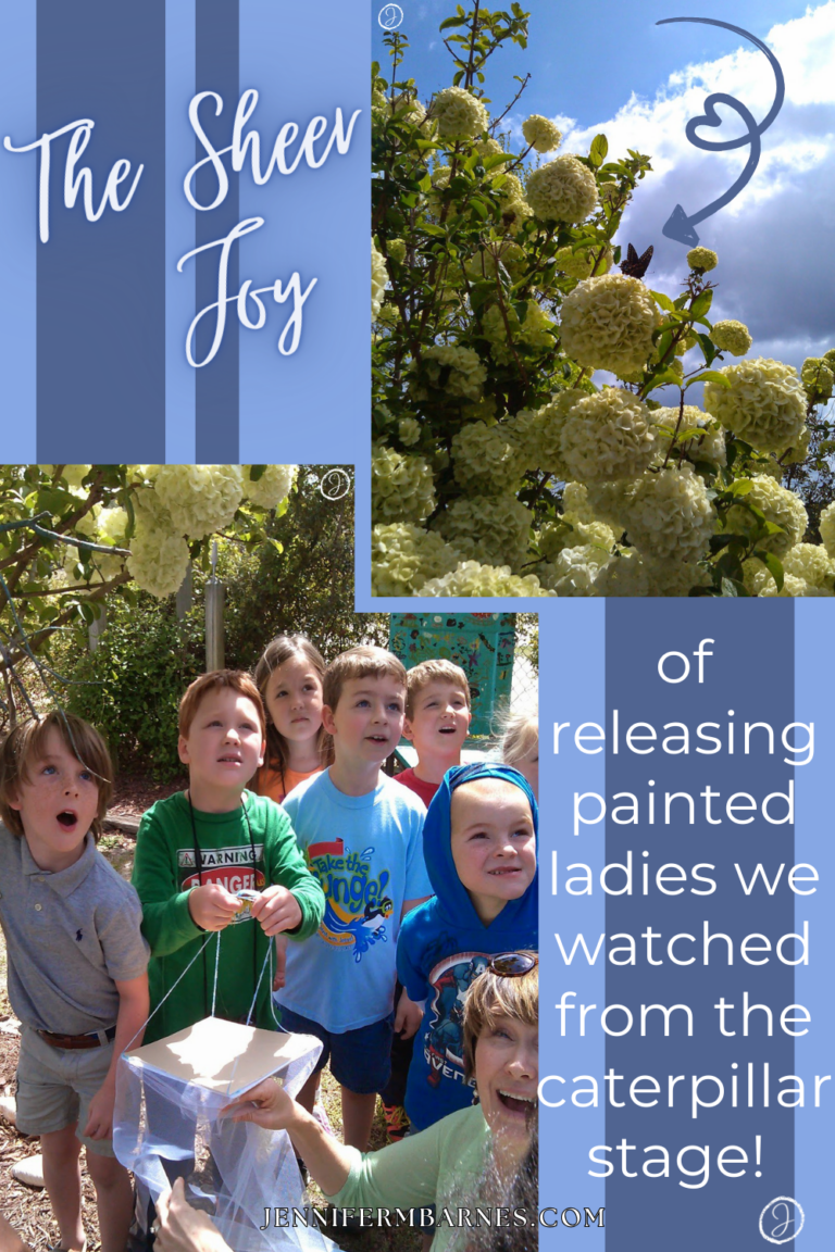 Kindergartners Watching their painted lady butterflies being released into the world - The Sheer Joy!